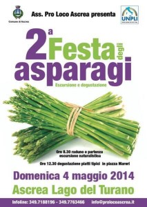 festa asparagi