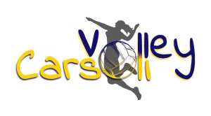 volley logo