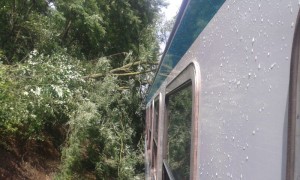 albero-treno