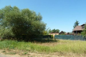 vendita_terreno_edificabile_a_oricola_in_zona_localita_pezzetaglie_la_dacia_100318146023848292