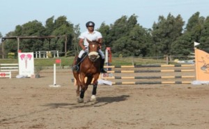 centro_ippico_gli_olivastri_asd02