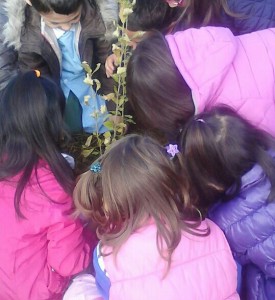 IMG-20141029-WA0025-1-1