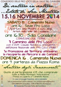 MANIFESTO 15e16 novembre