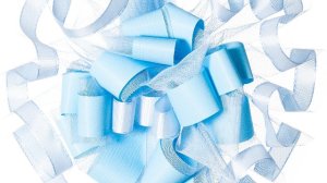 FioccoAzzurro_Dettaglio