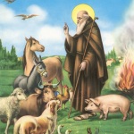 sant'antonio rocca di botte