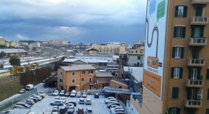 Alberone