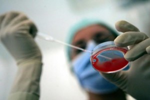 Napoli 13/04/2005 Referendum per abrogazione parziale legge per la procreazione medicalmente assistita. Una dottoressa del Centro mediterraneo per la fecondazione assistita di Napoli, in sala operatoria con il liquido follicolare appena prelevato. Dalla provetta verranno estratti gli ovociti.