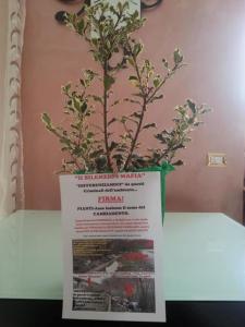 11027931_10203970575889768_3547964023853132639_n