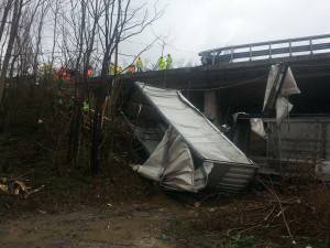 11091271_10153180595734793_2006383013_n