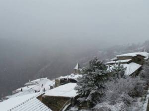 colli