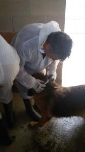 11188187_1635114496720757_7769633135527692008_n