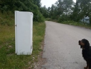 frigo abbandonato
