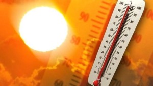 caldo record
