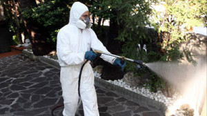 disinfestazione (1)