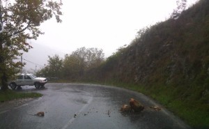 massi roviano