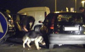 perquisizioni antidroga