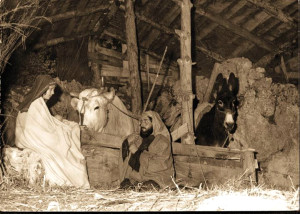 12235052_1639946219611842_1103966541084611168_n