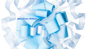 FioccoAzzurro_Dettaglio