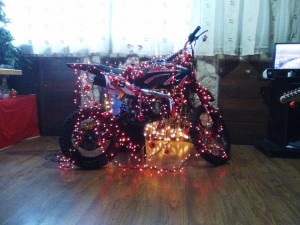 Albero Concorso Guido e Ilia