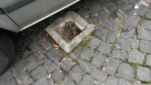 tombini 4