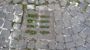 tombini 5