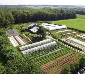 fattoria ecologica valle aniene