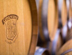 vino-barricche-centorame-315x240