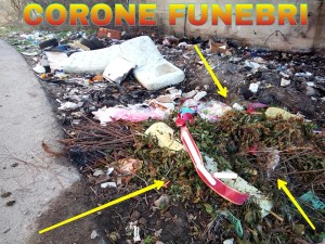 12814738_10206201431619767_3752523999927646342_n