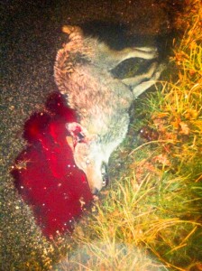 IMG-20160301-WA0001 (597 x 800)