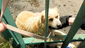 12946797_10207839071768333_2140072223_o