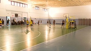 55fa6838c5454bc43888ad15364e3965_M