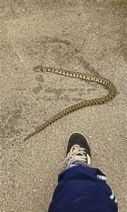 4e83b89d09e18f4829969b0361829e12_L