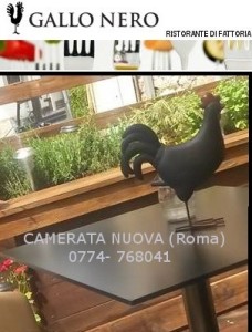 banner gallo nero bentornato