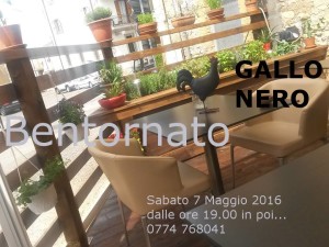 bentornato gallo nero ...