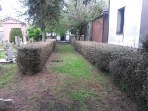 verme cimitero carsoli 2