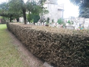verme cimitero carsoli 5