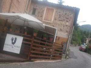 gallo nero esterna 2