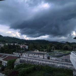 articolo antonio palluzzi 4