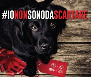 immagine-campagna-per-social