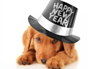 cane-con-cappello-nuovo-anno-e1388607499827
