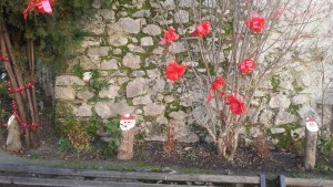 colle13