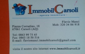 immobilcarsoli