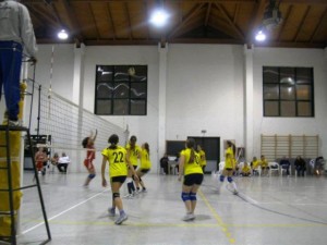 volley