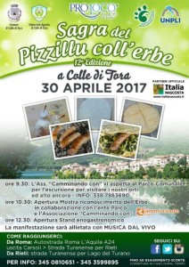 17690595_10208693774676958_1019502026_n