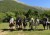 horses