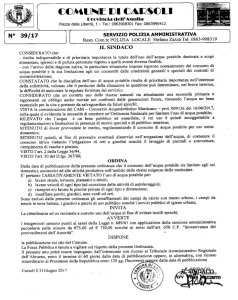 19433781_10211552004789295_1293273510_n