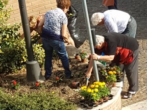 centro anziani aiuole p corradino