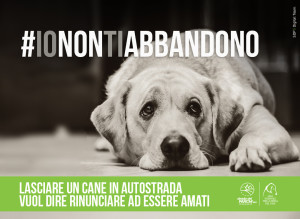 campagna abbandono cane