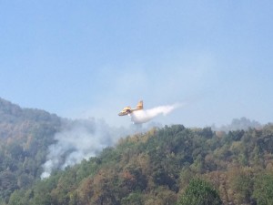 canadair incendi in azione