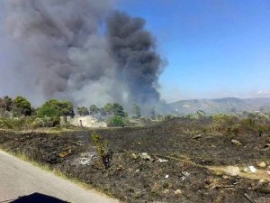 incendio boschivo